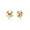 Edblad korvakorut Lucky Studs Gold, Gold pleated
