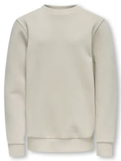 Only and Sons Junior lasten collegepaita OSJCERES CREW NECK SWEAT NOOS, beige