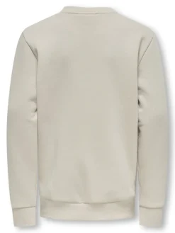Only and Sons Junior lasten collegepaita OSJCERES CREW NECK SWEAT NOOS, beige