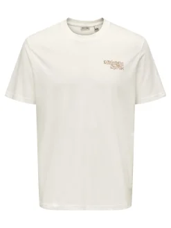Only and Sons miesten t-paita, CHRIS LIFE REG SS TEE Cloud Dancer